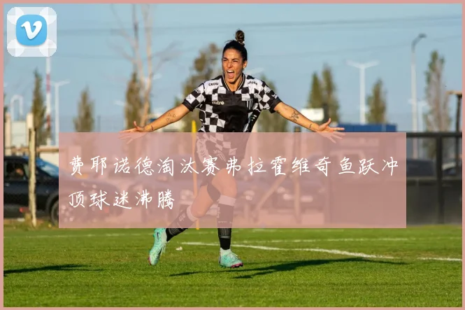 费耶诺德淘汰赛弗拉霍维奇鱼跃冲顶球迷沸腾 — 详细说明