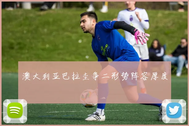 澳大利亚巴拉圭争二形势阵容厚度