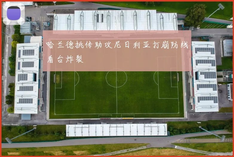 哈兰德挑传助攻尼日利亚打崩防线看台炸裂
