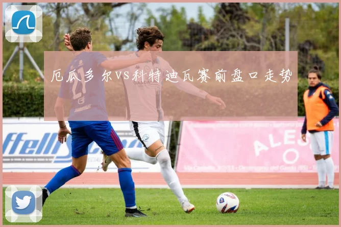 厄瓜多尔vs科特迪瓦赛前盘口走势