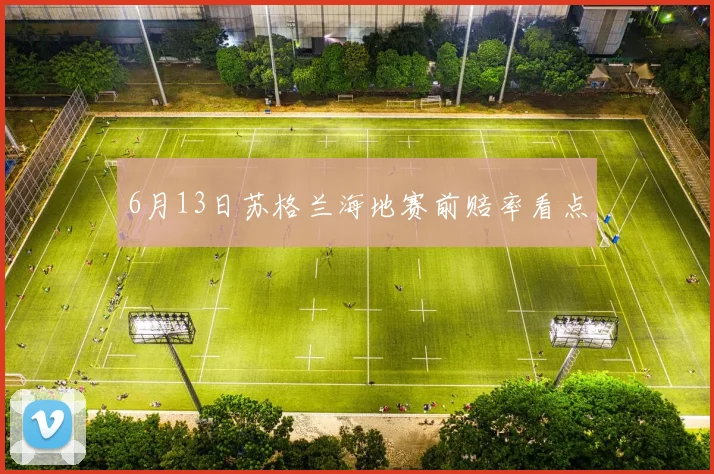 6月13日苏格兰海地赛前赔率看点