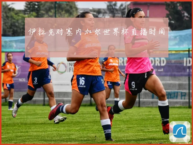 伊拉克对塞内加尔世界杯直播时间