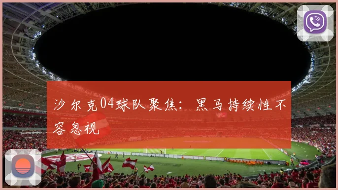 沙尔克04球队聚焦：黑马持续性不容忽视