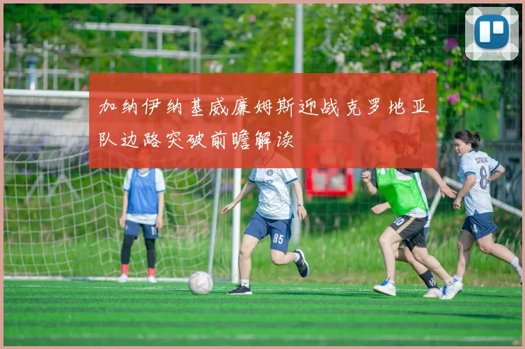 加纳伊纳基威廉姆斯迎战克罗地亚队边路突破前瞻解读